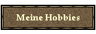 Meine Hobbies